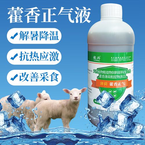 夏日养殖必备 藿香正气液与冰爽VC——畜禽通用饲料添加剂使用指南